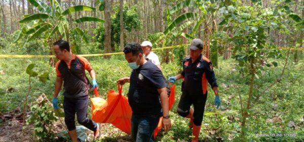 Lansia Ditemukan Meninggal Di Kawasan Hutan Jati Pati, Apa Penyebabnya?