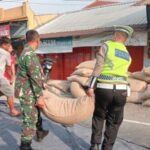 Muatan Kacang Berhamburan Di Pekalongan, Polisi Ikut Evakuasi Truk Terbalik