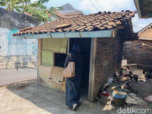 Penampakan Rumah Di Magelang Yang Dihuni Bersama Bangkai Belasan Kucing