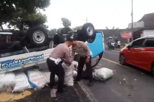 Kecelakaan Pikap Traga di Jalan Kabat Banyuwangi, Sopir dan Penumpang Alami Luka-luka