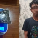 Polisi Kendal Amankan Kurir Ganja, Ini Berat Barang Bukti Yang