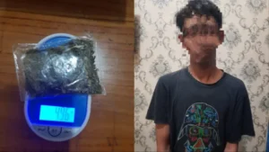 Polisi Kendal Amankan Kurir Ganja, Ini Berat Barang Bukti yang Dibawa