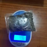 Polres Kendal Berhasil Amankan Perantara Narkoba Dengan 4,96 Gram Ganja