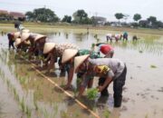 Sinergi Polres Sukoharjo Dan Pemda: 20 Hektar Sawah Disiapkan Untuk