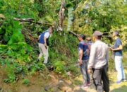 Singkirkan Pohon Tumbang, Emak Emak Di Semarang Tewas Kesetrum Kabel Listrik