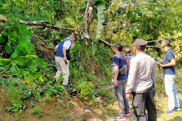 Tragis, Emak-emak di Semarang Tewas Kesetrum Saat Singkirkan Pohon yang Menimpa Kabel Listrik