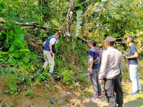 Singkirkan Pohon Tumbang, Emak Emak Di Semarang Tewas Kesetrum Kabel Listrik