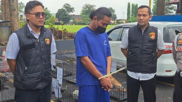 Polisi Tetapkan Tersangka dalam Kasus Penyelundupan Anjing Garut-Cilacap