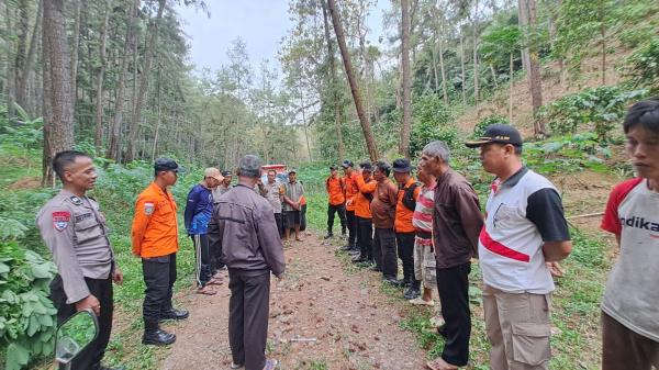 Tiga Orang Tersesat di Hutan Pinus Banyumas, Tim SAR Gabungan Lakukan Penyelamatan