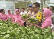 Dukung Ketahanan Pangan Nasional, Kapolda Kalteng Panen Ikan Dan Sayur