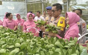 Dukung Ketahanan Pangan Nasional, Kapolda Kalteng Panen Ikan Dan Sayur