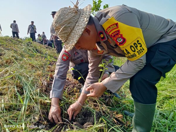 Aksi Polisi Jembrana Tanam Jagung Dan Cabai Untuk Meningkatkan Kemandirian