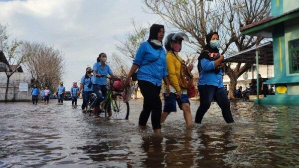 Banjir Rob Hantui Pantura Jateng, Daerah Rawan Terancam Terendam