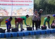 Ditpolairud Polda Jateng Tebar 5 Ton Benih Kerang Dara, Upaya