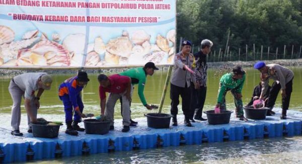 Ditpolairud Polda Jateng Tebar 5 Ton Benih Kerang Dara, Upaya