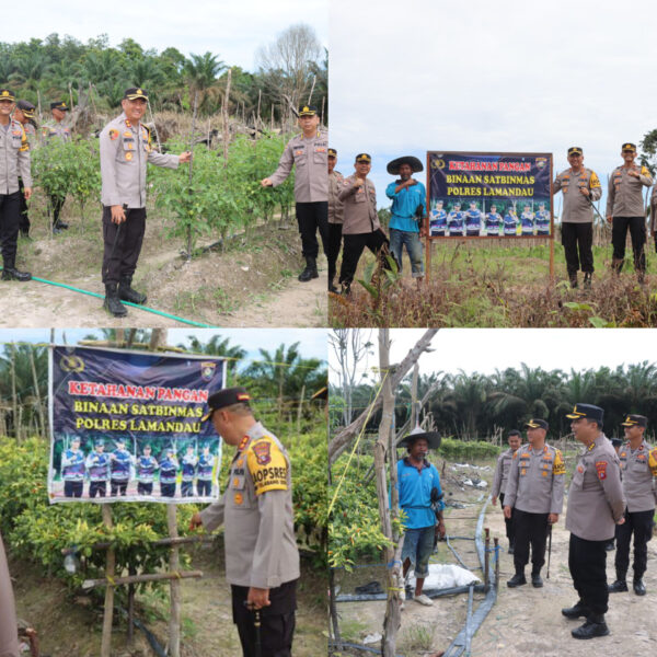 Dukung Program Ketahanan Pangan, Kapolres Lamandau Tinjau Lahan Binaan Satbinmas