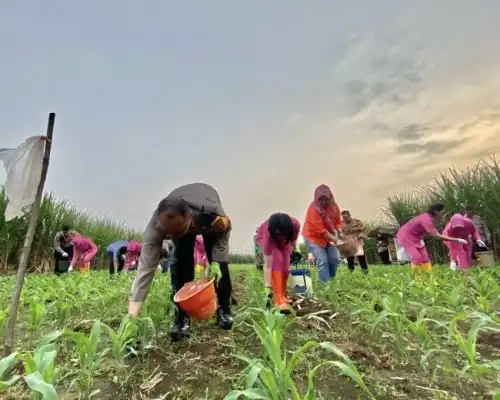 Gas Pol Sukseskan Ketahanan Pangan, Kapolresta Malang Kota Terlibat Langsung