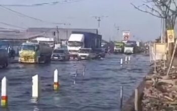 Genangan Rob Seminggu Di Pantura Semarang Demak Timbulkan Kerusakan Dan Kerugian