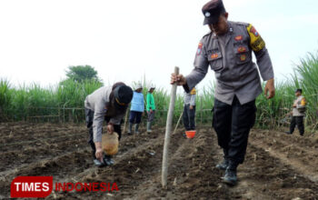 Giat Dukung Ketahanan Pangan, Polresta Malang Kota Gandeng Petani Tanam