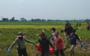 Heboh Penemuan Mayat Pria Tua Di Sawah Pluneng, Warga Klaten