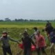 Heboh Penemuan Mayat Pria Tua Di Sawah Pluneng, Warga Klaten