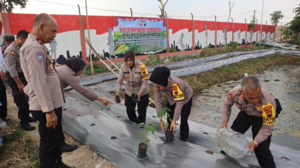 Inisiatif Polres Sukoharjo untuk Ketahanan Pangan, Budidaya Sayuran dan Ikan di Lahan Mako