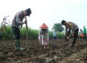 Inisiatif Polresta Malang Kota: Berkontribusi Bagi Swasembada Pangan Indonesia