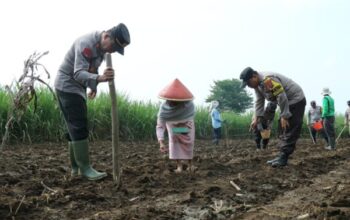 Inisiatif Polresta Malang Kota: Berkontribusi Bagi Swasembada Pangan Indonesia