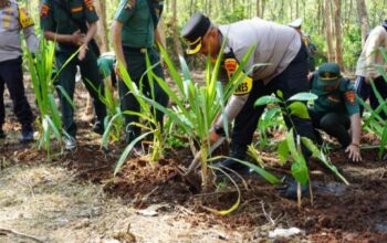 Inovasi Ketahanan Pangan Polres Batang Manfaatkan Lahan Kosong Di Seluruh