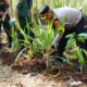 Inovasi Ketahanan Pangan Polres Batang Manfaatkan Lahan Kosong Di Seluruh