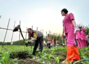 Tanam Jagung untuk Asta Cita, Kapolresta Malang Kota Tunjukkan Aksi Nyata