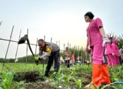 Kapolresta Malang Kota Tanam Jagung Untuk Dukung Program Asta Cita