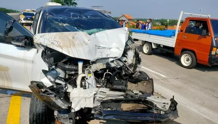 Ertiga Tabrak Elf Travel di Tol Kendal, Akibatkan Kecelakaan Maut yang Tewaskan Warga Jatim