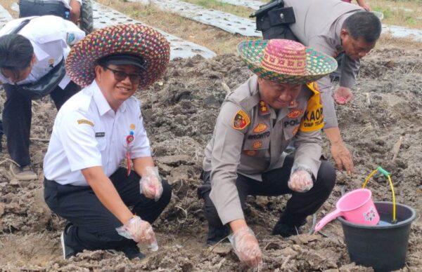 Ketahanan Pangan di Lamandau: Sinergi Polri dan TNI Jadi Ujung Tombak