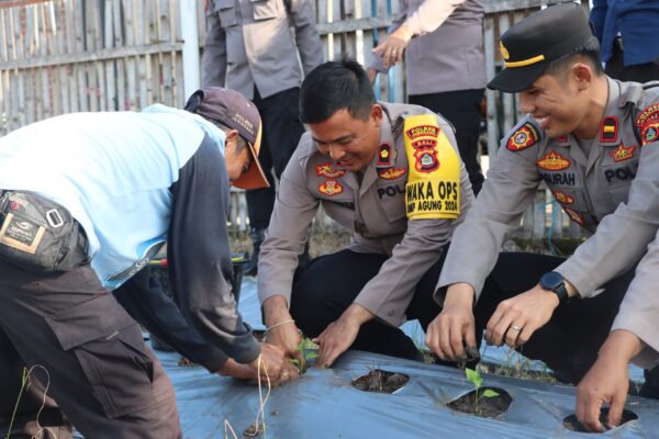 Ketersediaan Bapokting Terjaga, Polres Jembrana Lakukan Penanaman Cabai