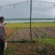 Kronologi Kematian Pemancing Di Waduk Cengklik Boyolali Akibat Tersambar Petir