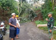 Longsor Banjarnegara Ganggu Akses Jalan, Tim Gabungan Lakukan Penanganan