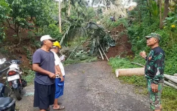 Longsor Banjarnegara Ganggu Akses Jalan, Tim Gabungan Lakukan Penanganan