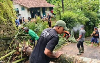 Longsor Di Pekuncen, 11 Rumah Di Desa Tumiyang Terjebak Dalam