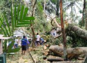 Makam Sunan Giri Kencana Dan Sunan Antasangin Di Banjarnegara Dihantam