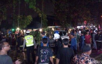 Malang Berduka, Pohon Tumbang Sebabkan Dua Korban Jiwa