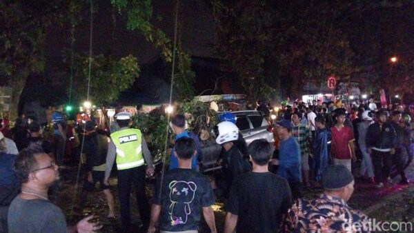 Malang Berduka, Pohon Tumbang Sebabkan Dua Korban Jiwa