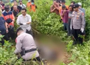 Pedagang yang Hilang Ditemukan Tewas di Rimbunan Alang-Alang, Warga Bumiayu Brebes Gempar