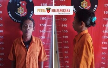 Pelaku Penganiayaan Diringkus, Polres Humbang Hasundutan Beri Keterangan Pers