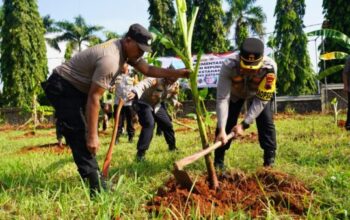 Polres Batang Manfaatkan Lahan Kosong Untuk Pertanian Produktif, Wujudkan Ketahanan