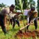 Polres Batang Manfaatkan Lahan Kosong Untuk Pertanian Produktif, Wujudkan Ketahanan