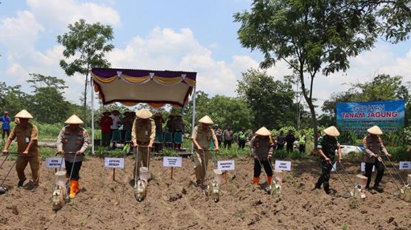 Polres Boyolali Tanam Bibit Jagung Di 22 Kecamatan Sebagai Dukungan