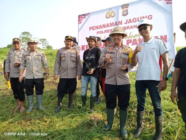 Polres Jembrana Berkolaborasi Tanam Jagung Dan Cabai Untuk Dukung Ketahanan