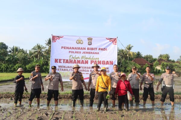 Polres Jembrana Bersama Masyarakat Tanam Padi, Sukseskan Program Ketahanan Pangan