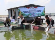 Polres Sragen Tebarkan 10 Ribu Bibit Ikan di Waduk Kedung Ombo